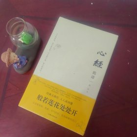 心经揭谛 串讲 着重讲 问答讲 随机讲 17万字精品讲评260字心经 令你恍然大悟的觉醒之书