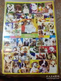 贴纸 世界名犬 六张合售
