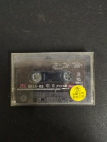 磁带：最新金曲 精选 羽泉 爱情在哪里 无封面 无歌词 以实拍图购买