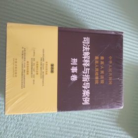 最高人民法院最高人民检察院司法解释与指导案例：刑事卷（第四版）