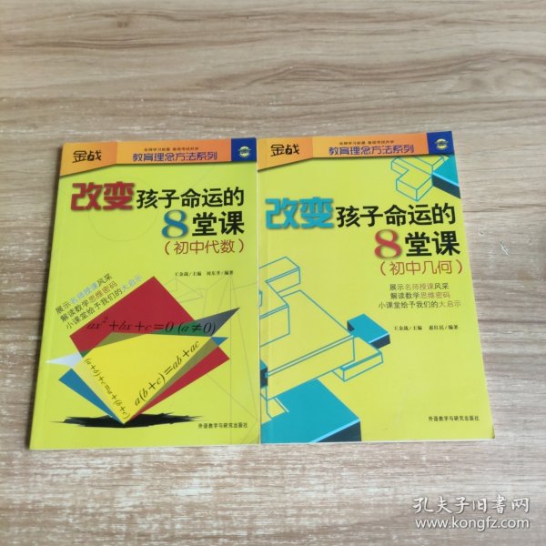 金战·教育理念方法系列·改变孩子命运的8堂课：初中几何