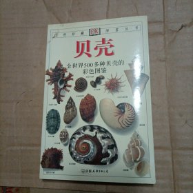 贝壳