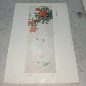 小画页——丹柿白鹅•叶矩吾作品