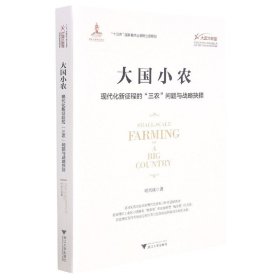 大国小农(现代化新征程的三农问题与战略抉择)/大国大转型中国经济转型与创新发展丛书