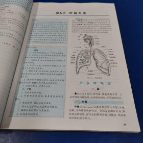 系统解剖学（第2版）