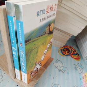 000曹文轩纯美小说系列:野风车+我们的卖场主(两册合售)