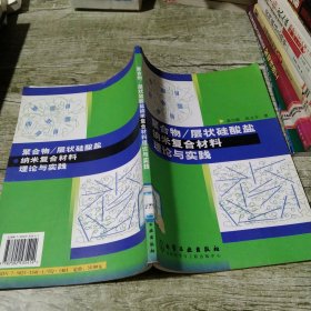 聚合物层状硅酸盐纳米复合材料理论与实践