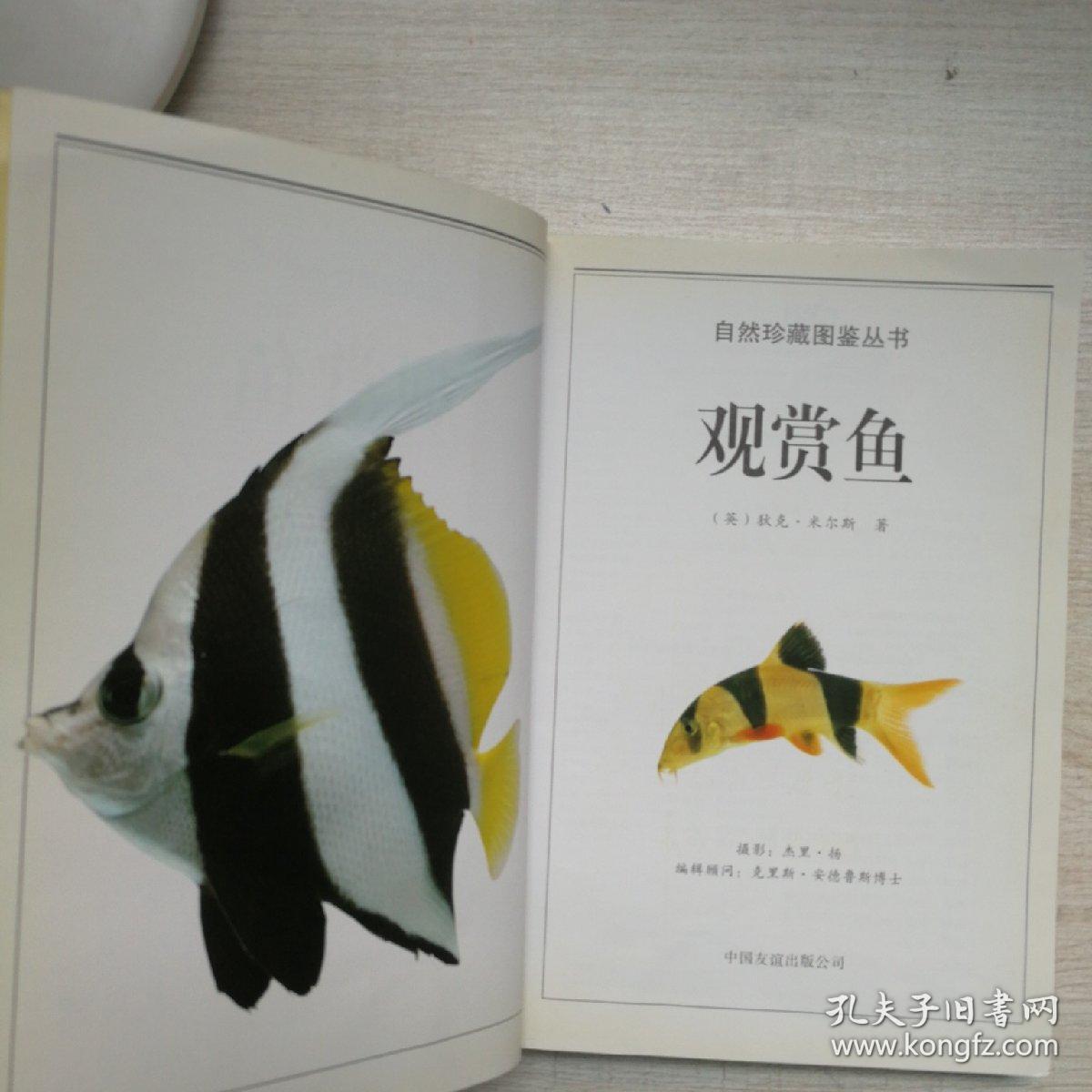 观赏鱼：全世界500多种观赏鱼的彩色图鉴