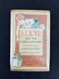 【EDDIE AND THE FAIRY GODPUPPY】英文原版多插画插图本速写素描小说故事书读本