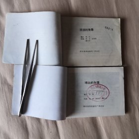 掠浪的鱼镖(上下)