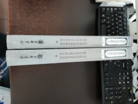 沂蒙抗日根据地图志 上下卷 全新塑封未开