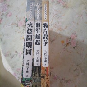 湘军崛起+鸦片战争+火烧圆明园共三册（晚清帝国风云系列）