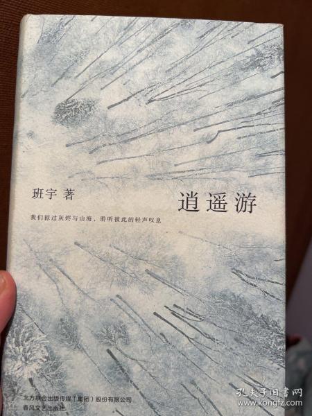 逍遥游（《冬泳》作者班宇最新作品，同名小说列收获文学排行榜短篇榜首）