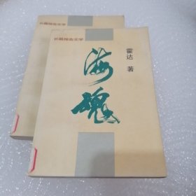 海魂 长篇报告文学