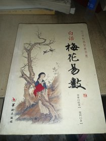 白话梅花易数