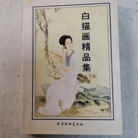 轻云蔽月：杨淑涛工笔仕女画集