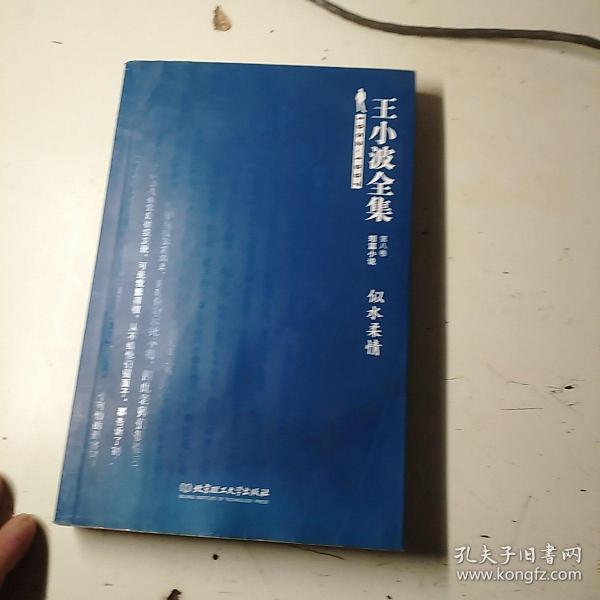 王小波全集（第八卷 短篇小说）：似水柔情