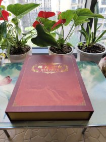 辉煌世纪视听数字图书馆（20张CD—ROM）