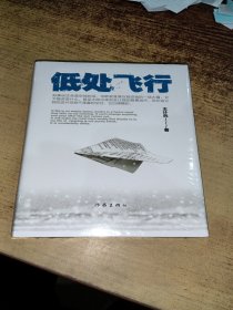 低处飞行（现象级素人作家 外卖员诗人 央媒等重磅报道）