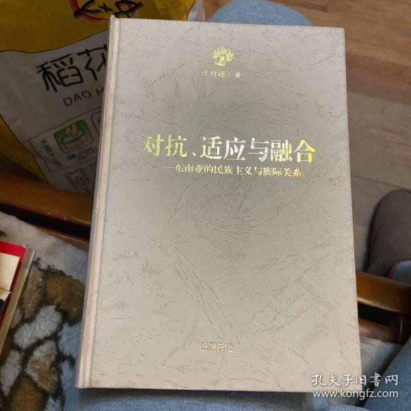 对抗、适应与融合：东南亚的民族主义与族际关系