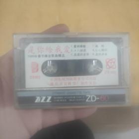 是你给我爱1989年春节晚会歌曲精选(磁带)