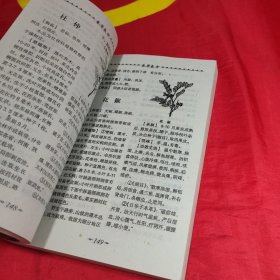 民间秘方与本草良方荟萃本草良方