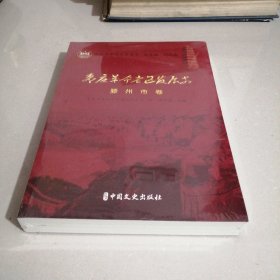 枣庄革命老区发展史滕州市卷（东屋6）