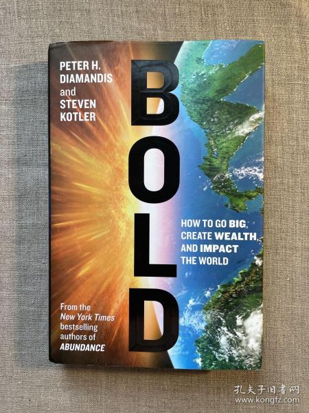 Bold：How to Go Big, Create Wealth and Impact the World