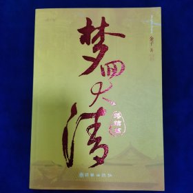 梦回大清：终结篇