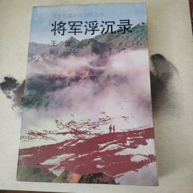 将军浮沉录