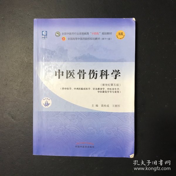 中医骨伤科学·全国中医药行业高等教育“十四五”规划教材