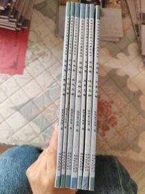 陕西省第三次全国文物普查丛书. 宝鸡卷. 麟游文物，太白文物，扶风文物，风翔文物，陇县文物，岐山文物，风县文物，七册