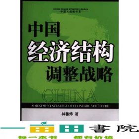 中國經(jīng)濟結(jié)構(gòu)調(diào)整戰(zhàn)略林善煒中國社會科學出9787500439820