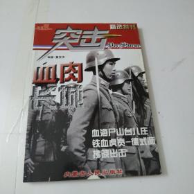 突击精选持刊