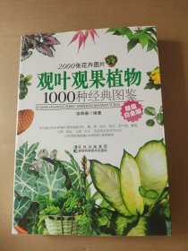 观叶观果植物1000种经典图鉴（超值白金版）