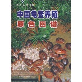 中国龟鳖养殖原色图谱 周婷 正版图书