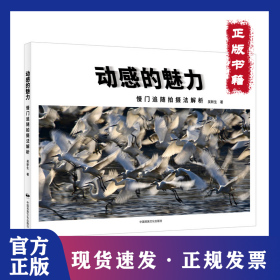 动感的魅力：慢门追随拍摄法解析 9787512217928