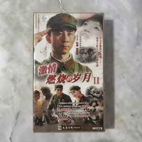 激情燃烧的岁月2 DVD20碟装