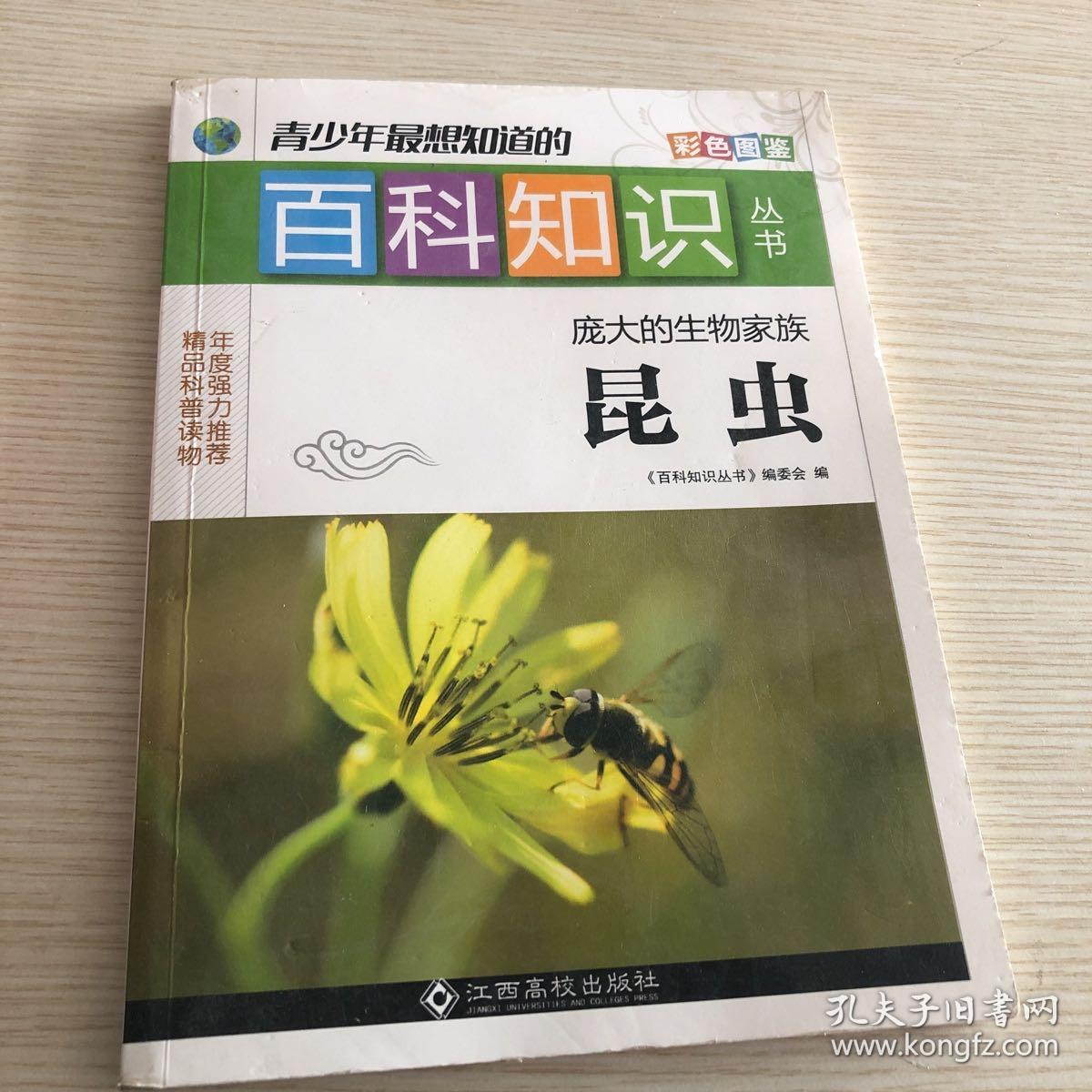 庞大的生物家族昆虫