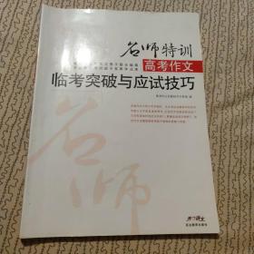 名师特训 高考作文临考突破与应试技巧