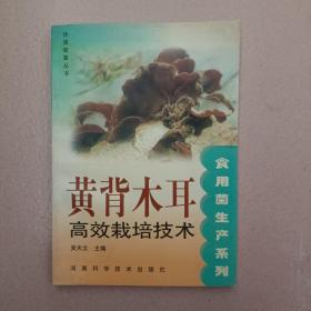 黃背木耳高效栽培技術(shù)