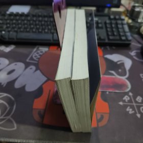 惊天铁案（上下）如图下册书脊有破损