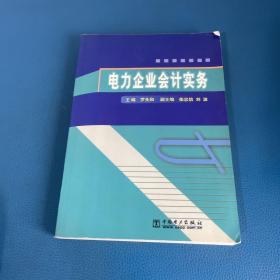 電力企業(yè)會(huì)計(jì)實(shí)務(wù)