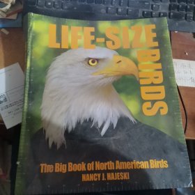 Life Size Birds: The Big Book of North American