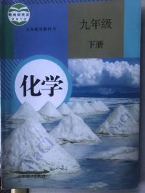 化学.九年级下册