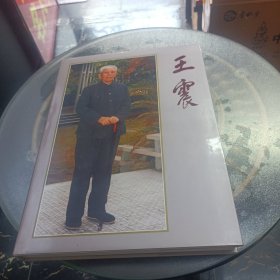 王震 画集 8开精装本