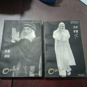 智慧奥秘