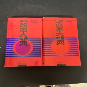 中国改革大辞典 上下册 全二册 2本合售