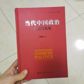 当代中国政治 基础与发展/中国发展道路丛书·政治卷