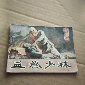 【连环画】血祭少林